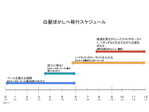 白髪ぼかし移行イメージ