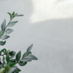 白髪ケア福岡にはどんな人が来るの？